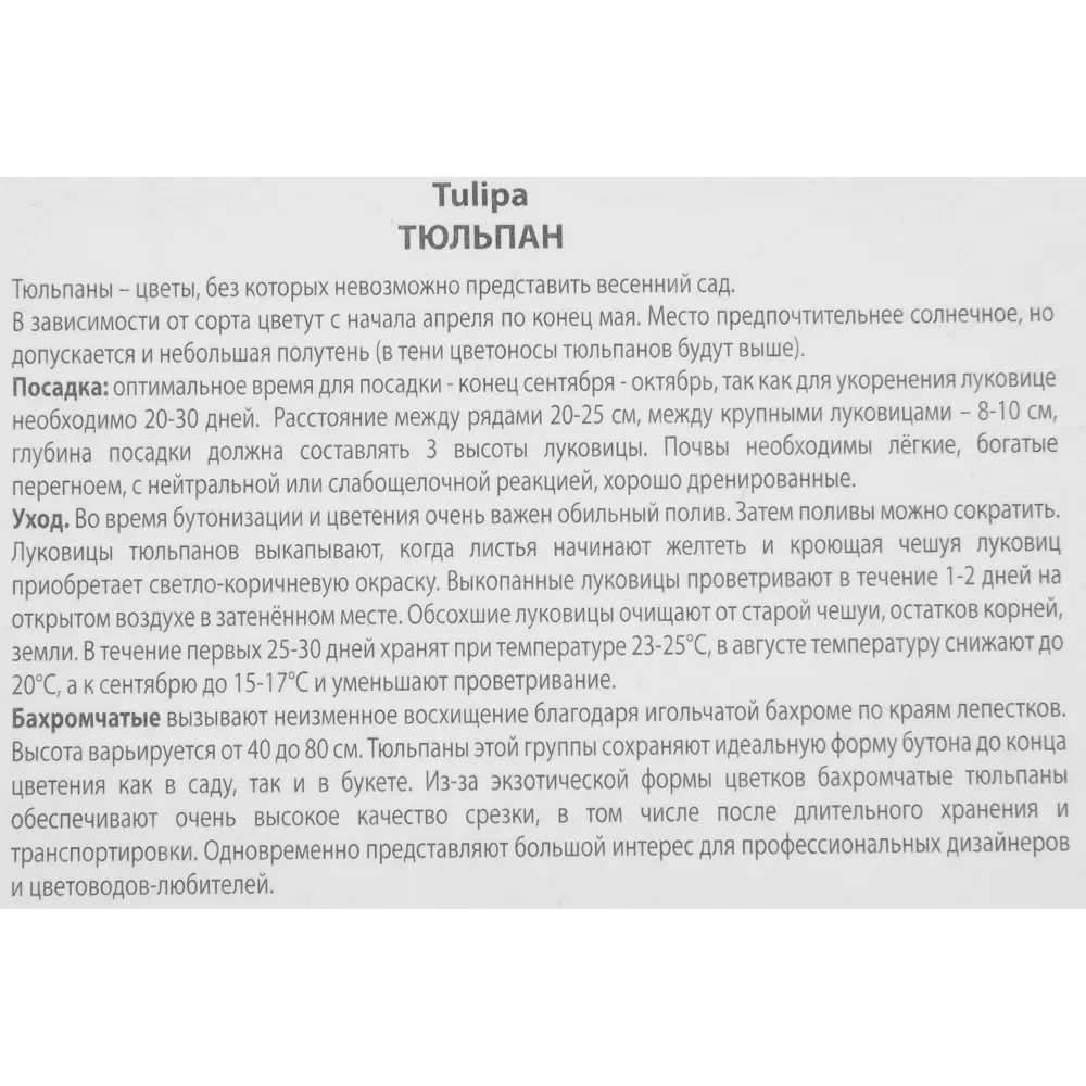 Тюльпан бахромчатый Фринжд солстайс луковица 10/11, 3 шт. 88294801 STLM-2063311 Santreyd  - Вид №2