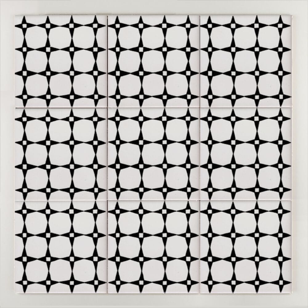 Пол / покрытие ручной работы La Riggiola черный и белый ARCH-00116687