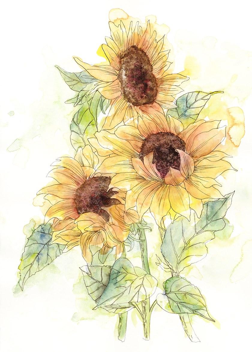 Komar Флизелиновые обои с цветочными мотивами Home X4-1008 - Вид №1