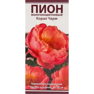 Пион молочноцветковый «Корал Чарм», размер луковицы I 82319606 STLM-2119513