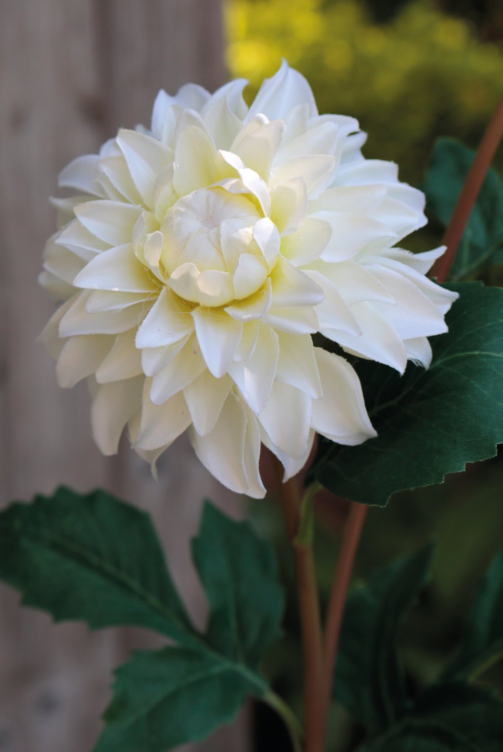 2451 778 a3 Пластиковый георгин, 56 см, бежево-белый H-andreas 