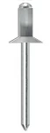 Заклепки RV 00 40 012 RV00 Tecfi 4 х 12