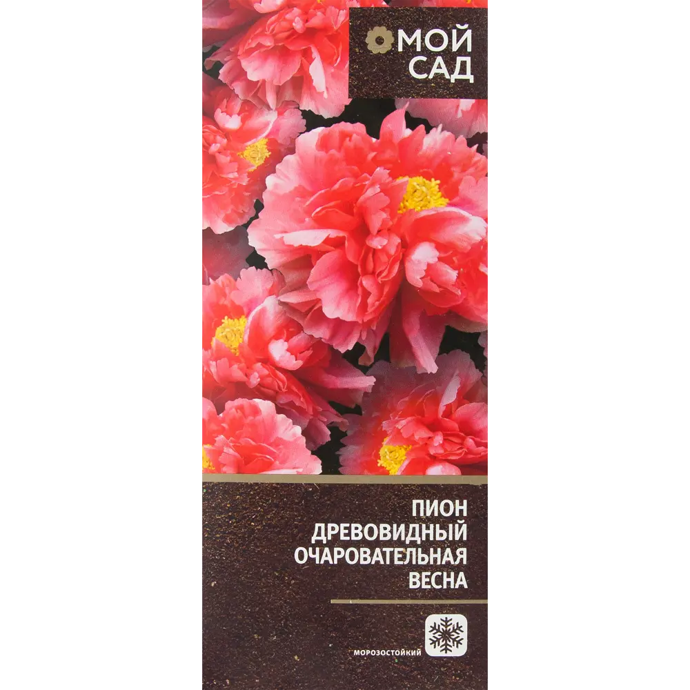 Пион древовидный Очаровательная Весна 83761602 STLM-2159604 Santreyd 
