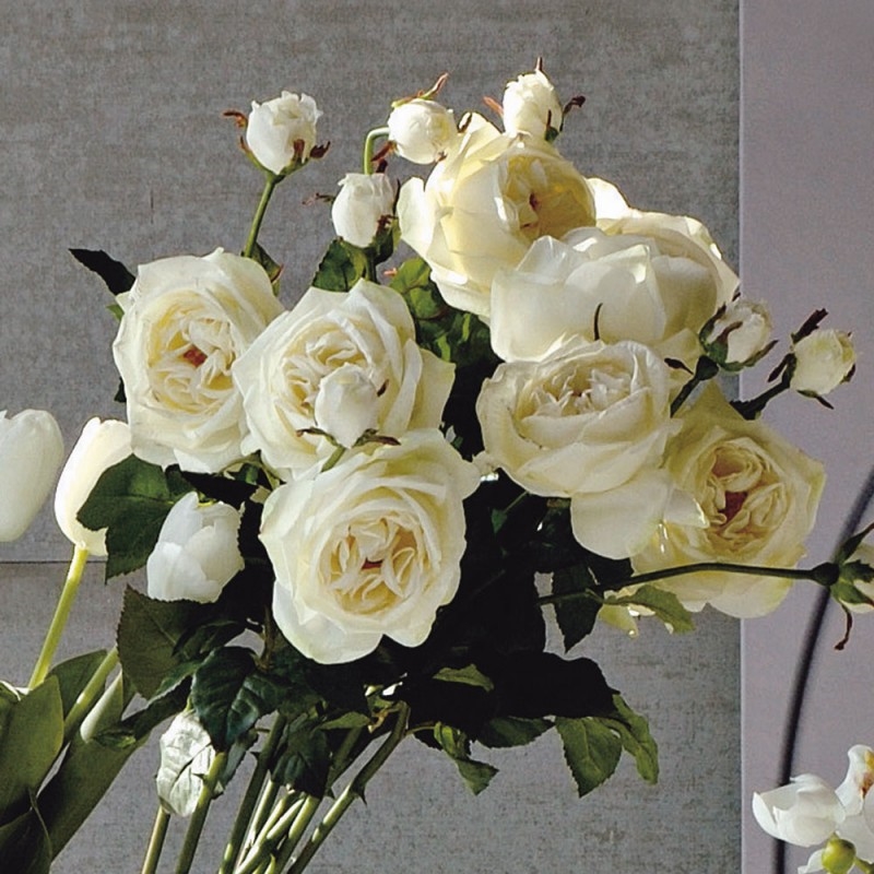 L23X9 Роза Флауэр Adriani e Rossi белый  - Вид №1