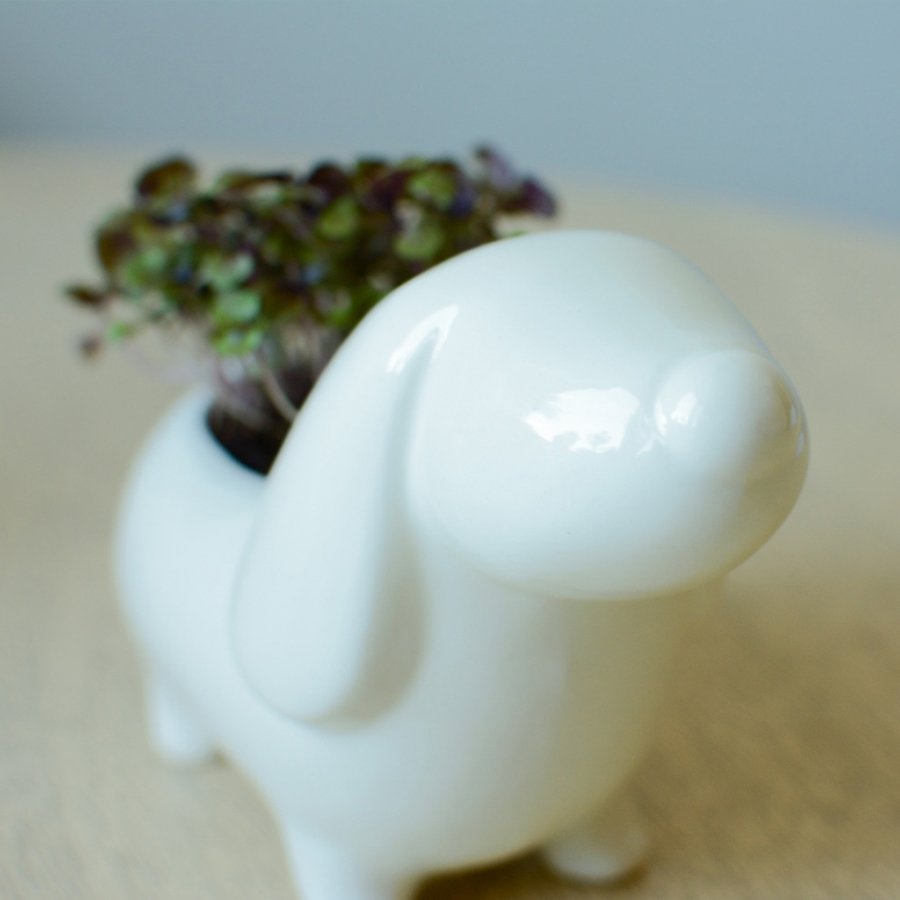 Набор для выращивания eco "Собачка" ЭКОЧЕЛОВЕКИ  254610 Белый  - Вид №1