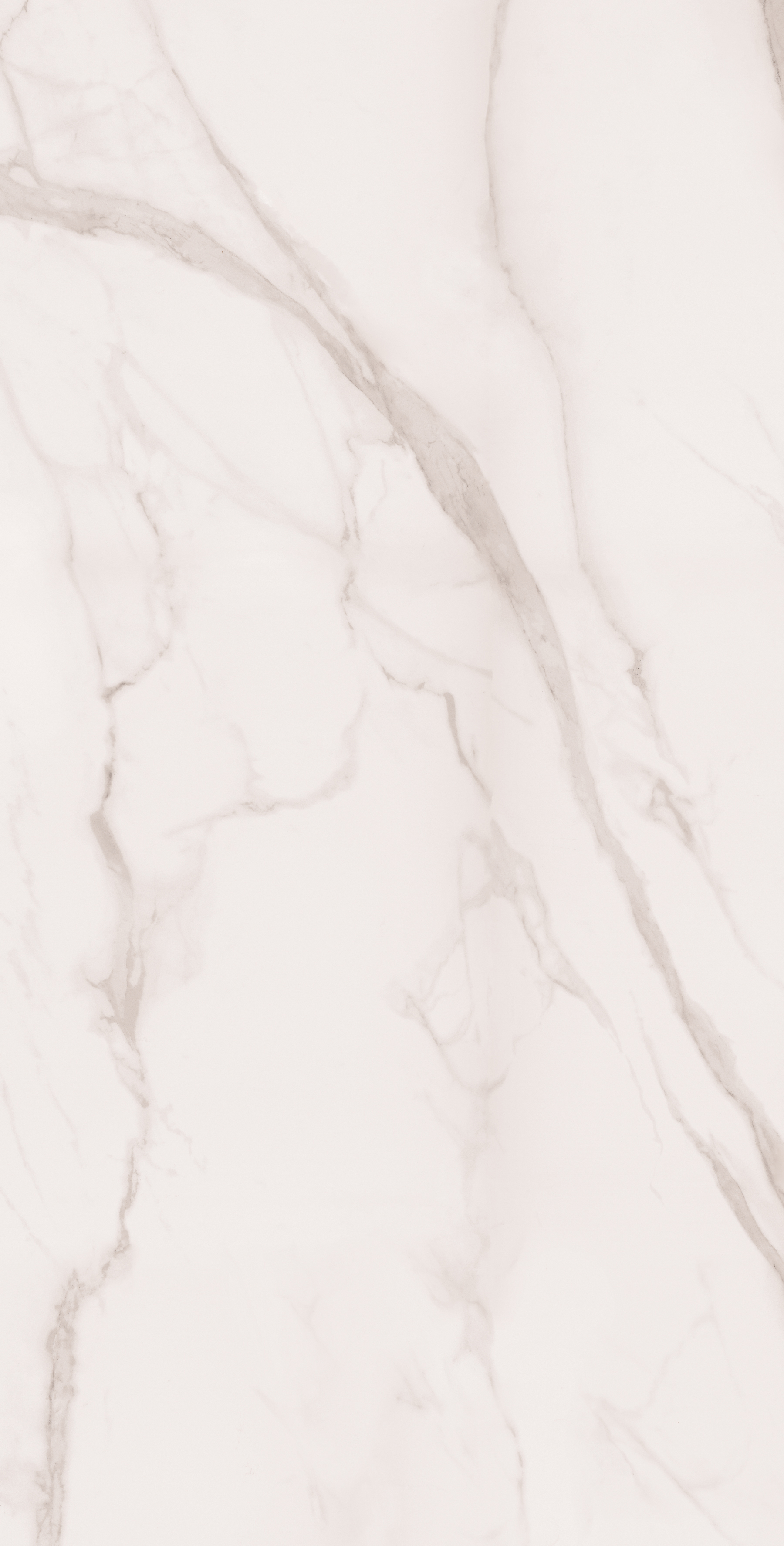 Керамогранит STATUARIO SILK 60х120 Arcadia Ceramica SM1004-A  - Вид №3