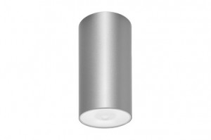 DST-87 Lens watertight ceiling-mounted Daisalux Светильники аварийные Серебристо-Серый