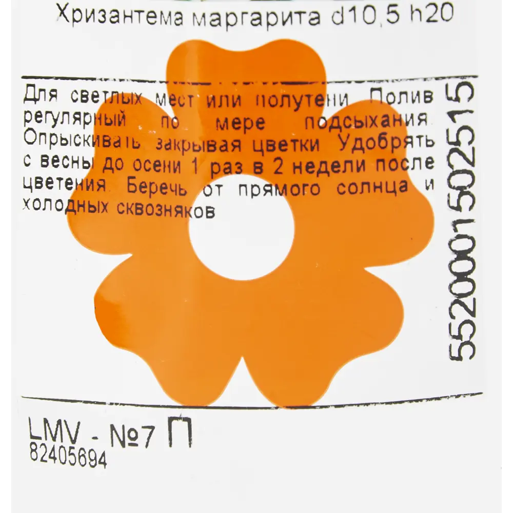 Хризантема Маргарита 10.5x20 см 82405694 STLM-2096996 Santreyd  - Вид №2