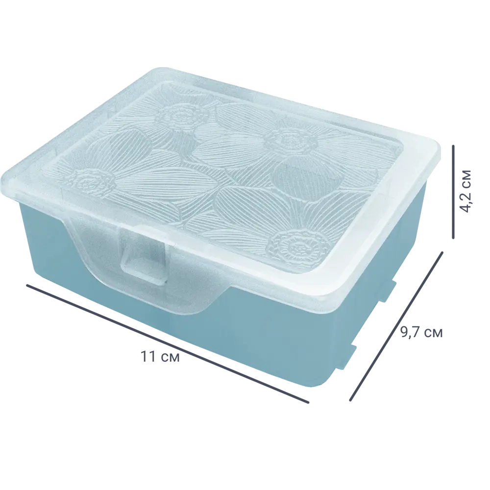 Органайзер для хранения XS 11x9.7x4.2 см пластик с крышкой цвет голубой Santreyd STLM-2161652 - Вид №1