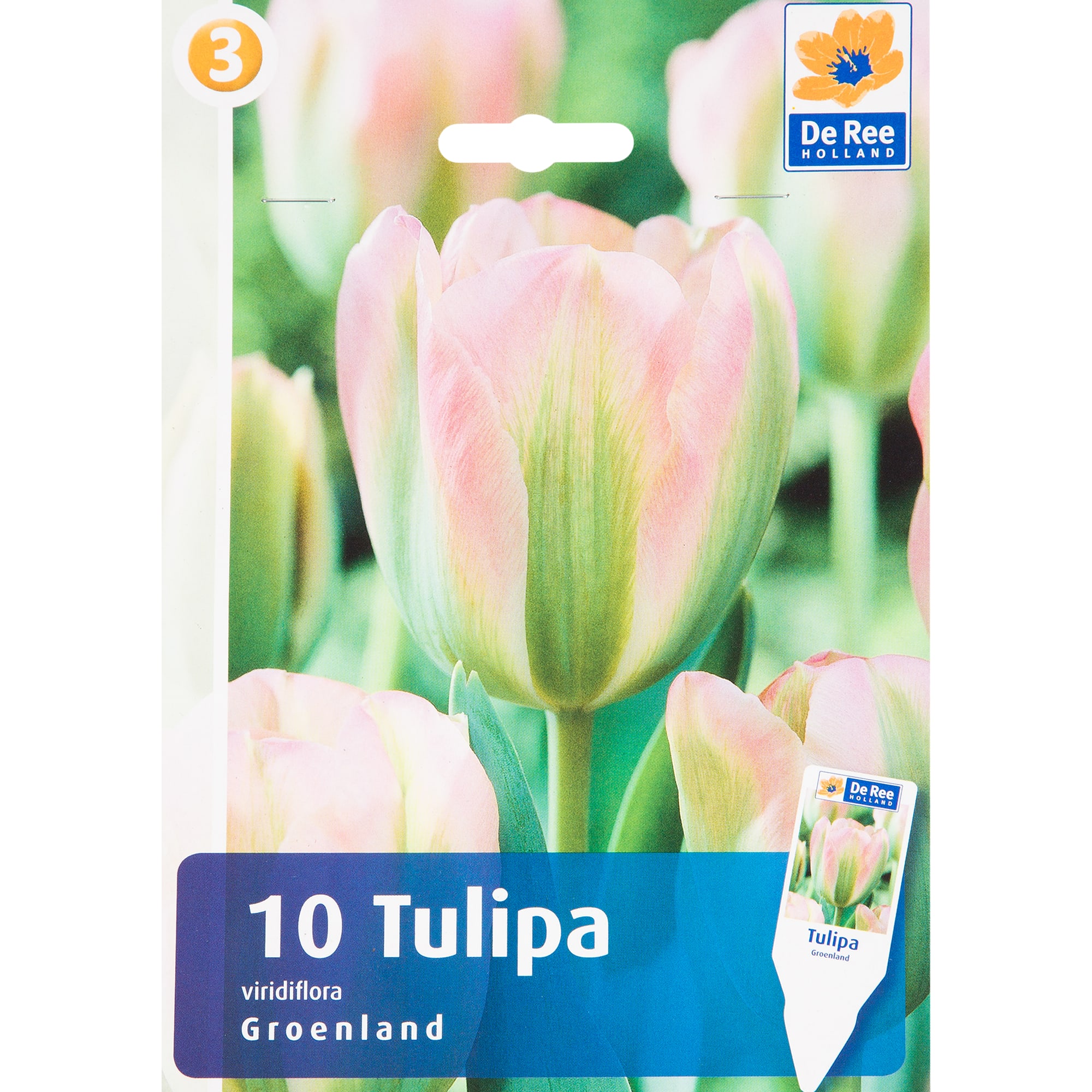 82666000 Тюльпан «Гроенланд» размер луковицы 11/12, 10 шт Santreyd 