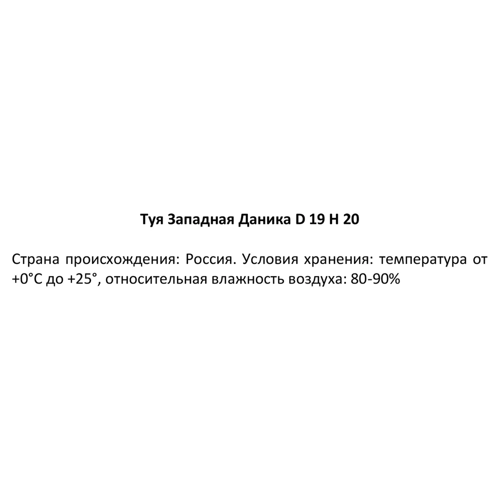 Туя западная «Даника» 2.2 л h20 см 82219058 STLM-2148596 Santreyd  - Вид №2