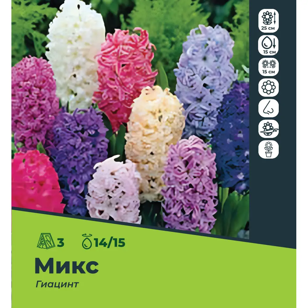 Гиацинт микс луковицы 14/15, 3 шт. 89049671 STLM-2168291 Santreyd 