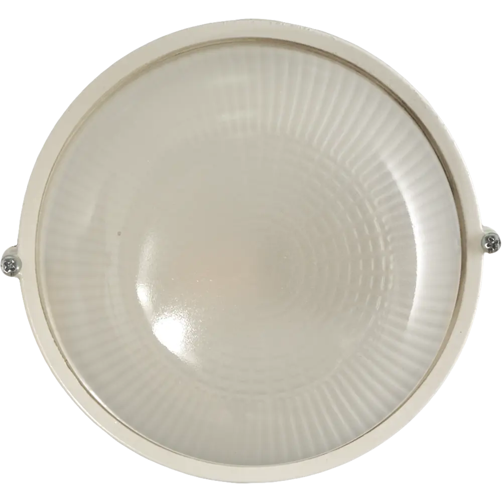 Светильник TDM Electric НПБ1301 для сложных условий - белый круглый 60Вт 15623673 STLM-0006154 - Вид №2