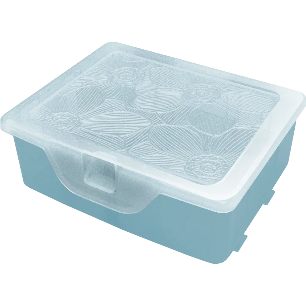 Органайзер для хранения XS 11x9.7x4.2 см пластик с крышкой цвет голубой Santreyd STLM-2161652