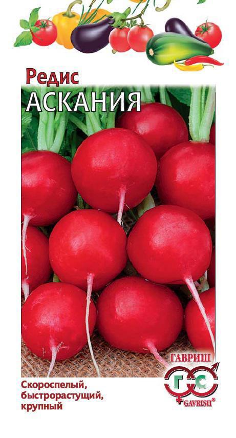 Семена редиса Аскания от ГАВРИШ - ранний урожай сочных корнеплодов 83606994 STLM-0042489