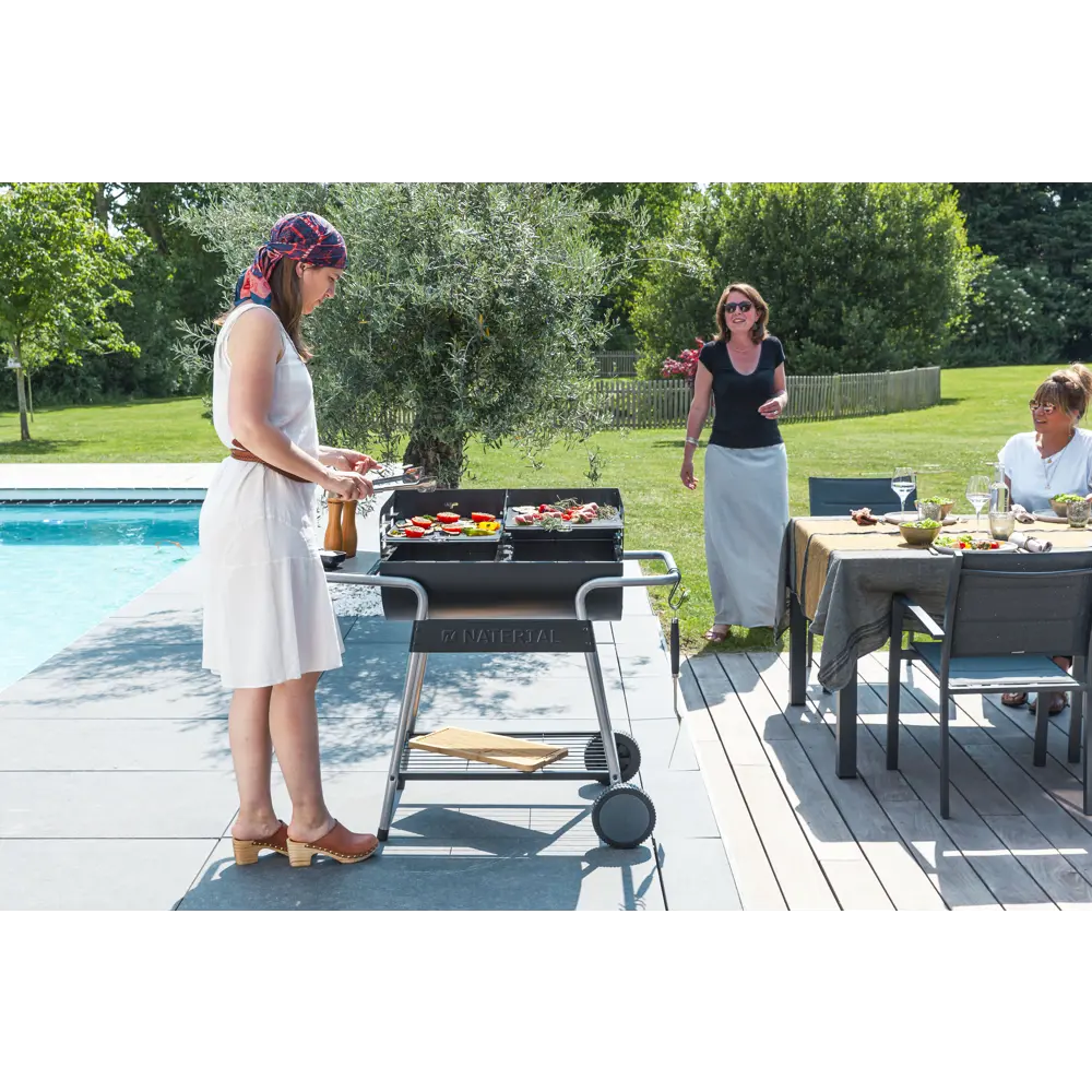 Мобильный гриль Naterial Icarus Alpha с двумя зонами приготовления 84178231 STLM-0046925 - Вид №23