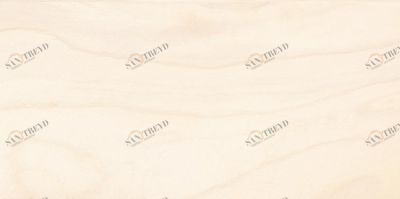 FRAME ПЛИТКА НАСТЕННАЯ БЕЖЕВЫЙ 08-00-11-1368 20Х40 Laparet 0800111368