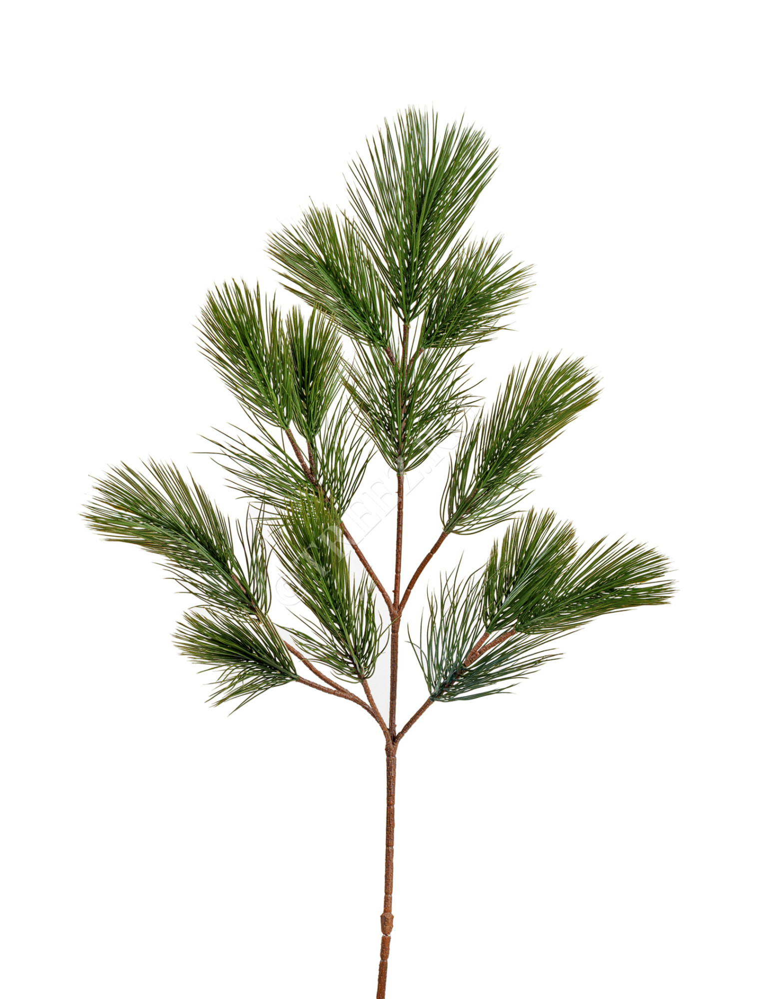 20.1581N Ветка Сосны пушистая Цветочная коллекция 