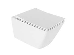 Туалет для биде без бриды