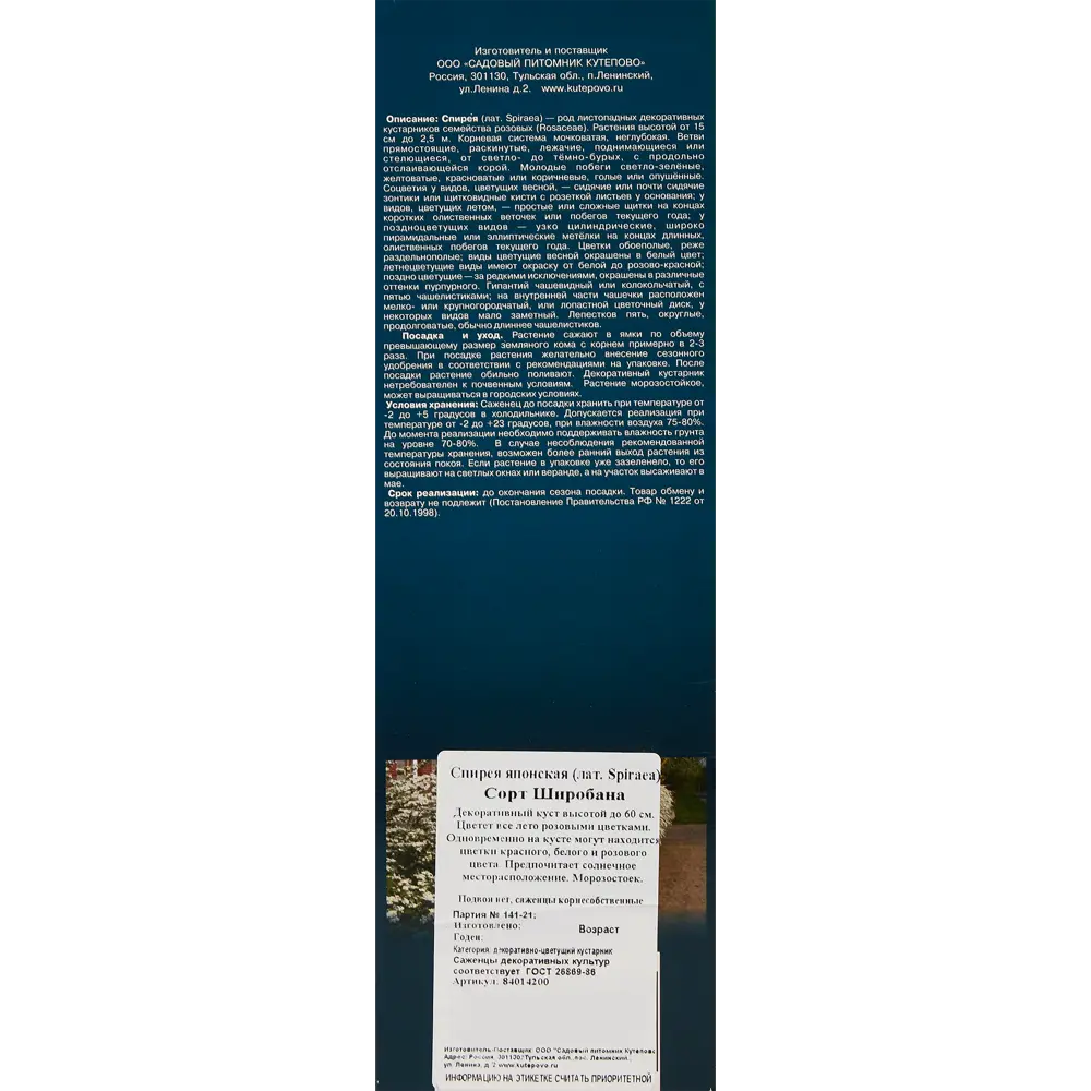 Спирея японская Широбана 84014200 STLM-2000384 Santreyd  - Вид №2