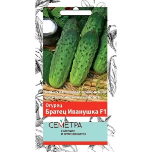 Семена Огурец «Братец Иванушка Семетра» F1, 3 г 82102360 STLM-2064979
