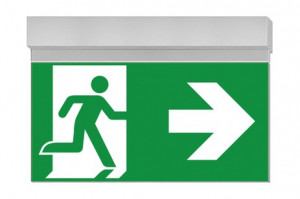 DST-1532 Ikus 320-t Daisalux Светильники сигнальные Серебристо-Серый