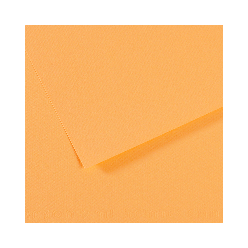 200321144 Бумага для пастели Mi-Teintes 160 г/м2 50 х 65 см лист №470 кукурузный Canson 