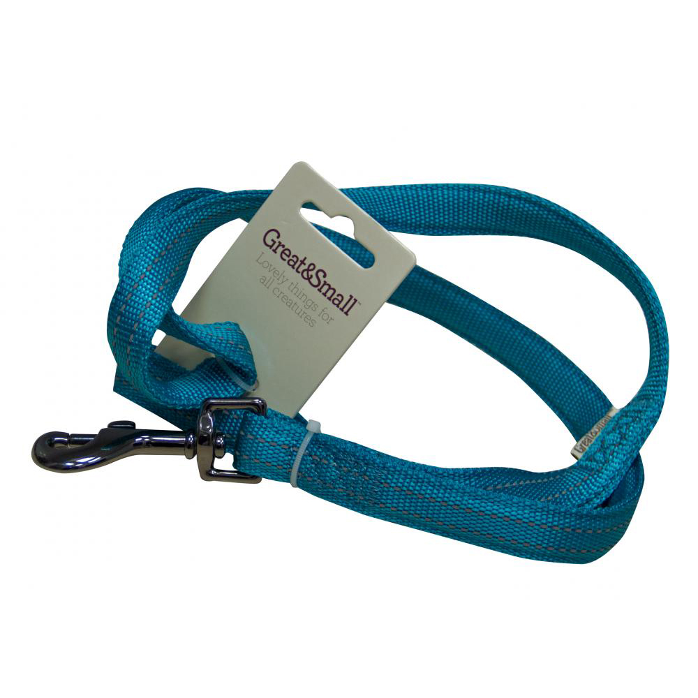 ПР0043607 Поводок для собак со светоотражающей острочкой 20х1200мм нейлон бирюзовый Great&Small 