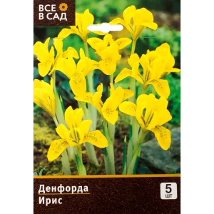 Ирис Денфорда 5/6, 5 шт. 11328319 STLM-2211786
