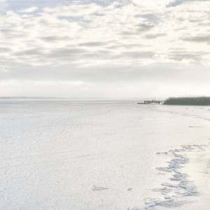 0989/CX38 Картина 1061 Adriani e Rossi