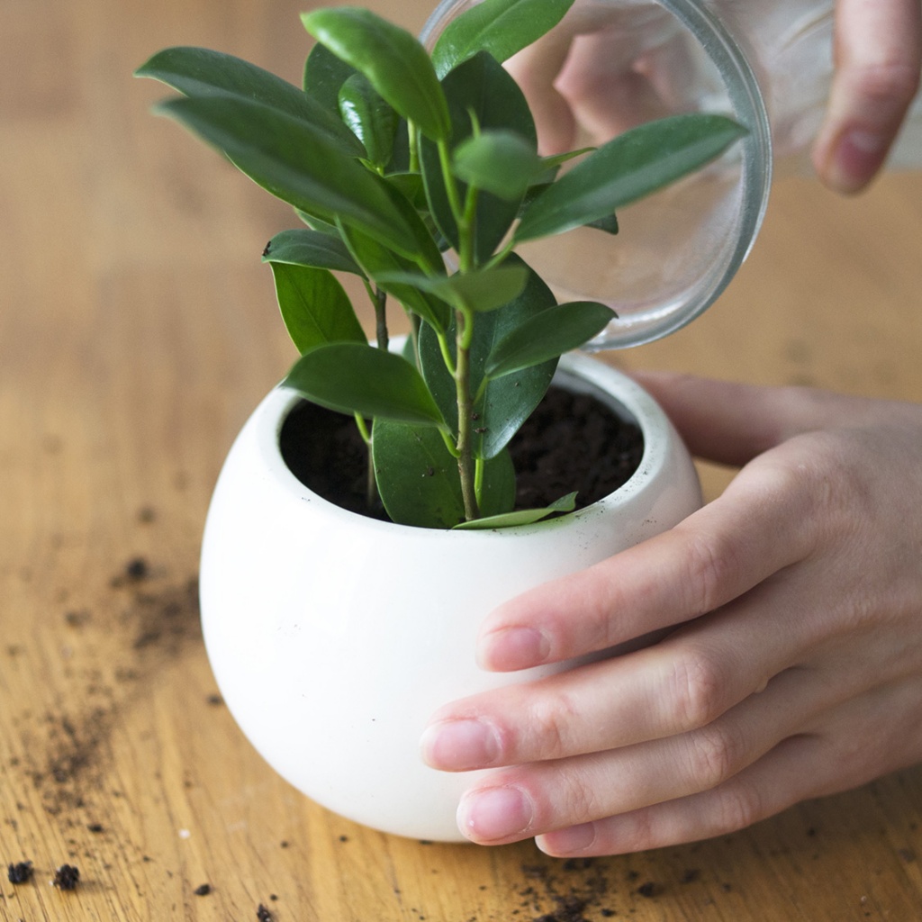 STM-3-01 Кашпо Экочеловеки  - Вид №4