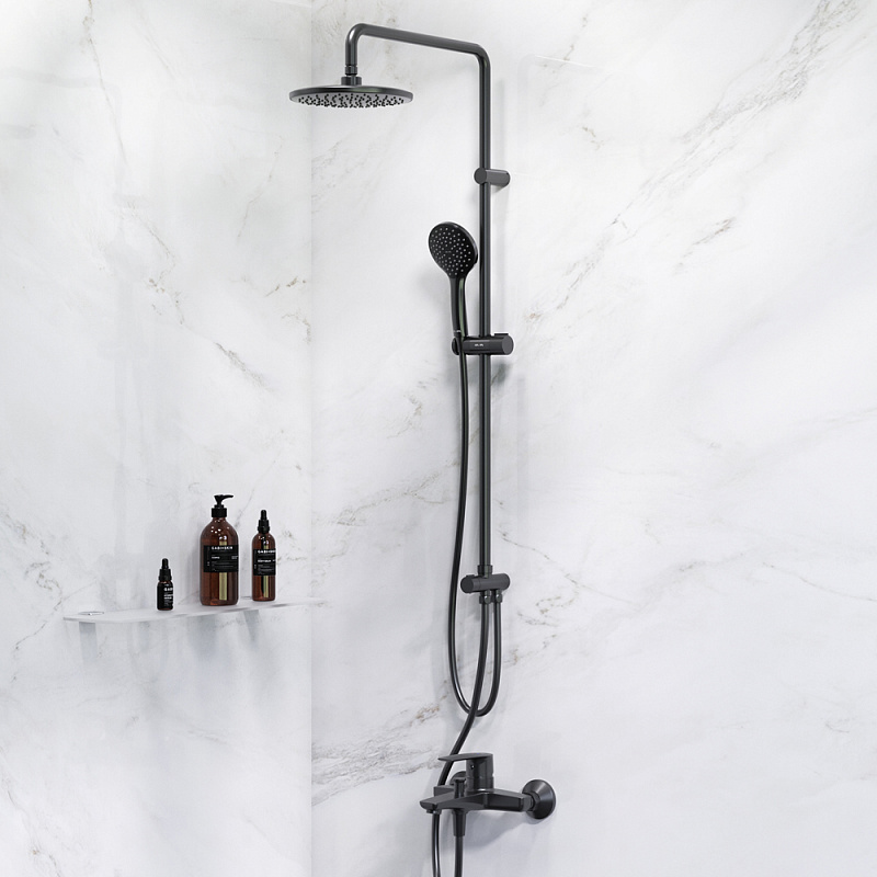 F42890A14 набор 2в1: см-ль д/ванны/душа верхний душ d 220 мм ручн.душ 110 мм 1 ф-ция душевая AM.PM Gem