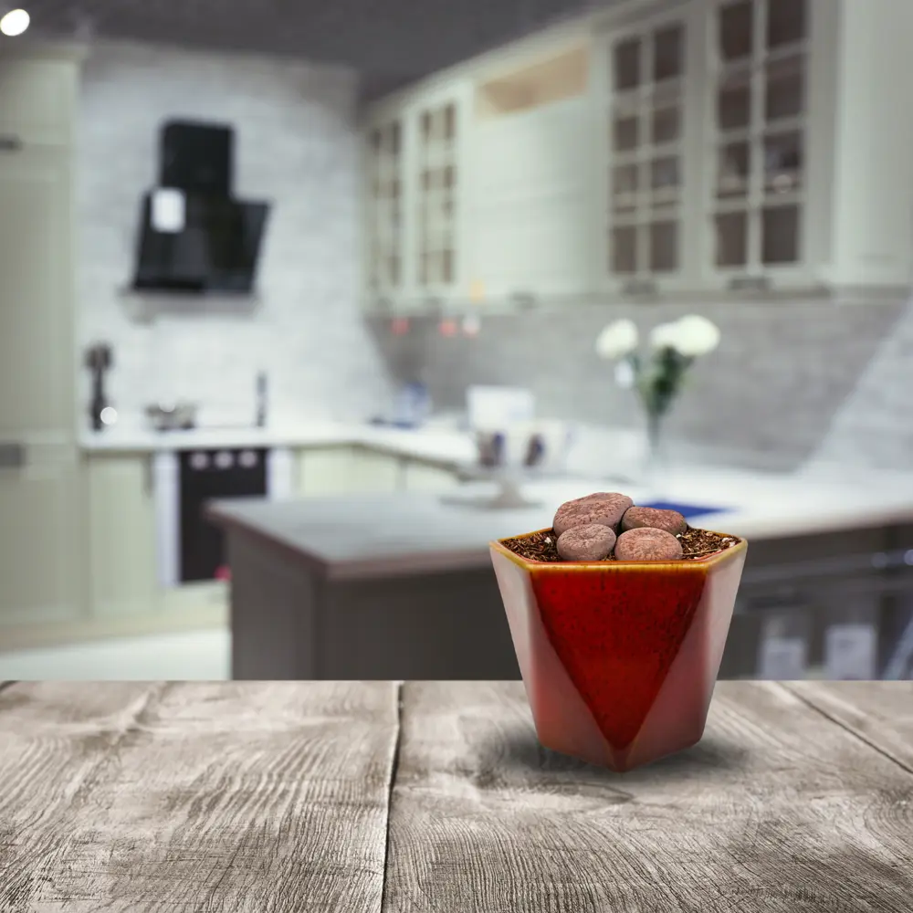 Кактусник 9x10x9 см v0.49 л керамика красный Santreyd STLM-2156690 - Вид №4