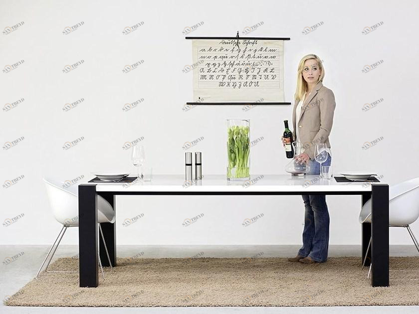 Wissmann raumobjekte Прямоугольный обеденный стол  608 