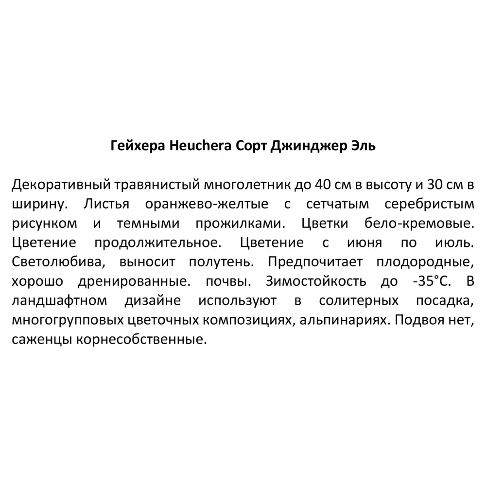 Гейхера микс ø11 h15 см 85606719 STLM-2207700 Santreyd  - Вид №3