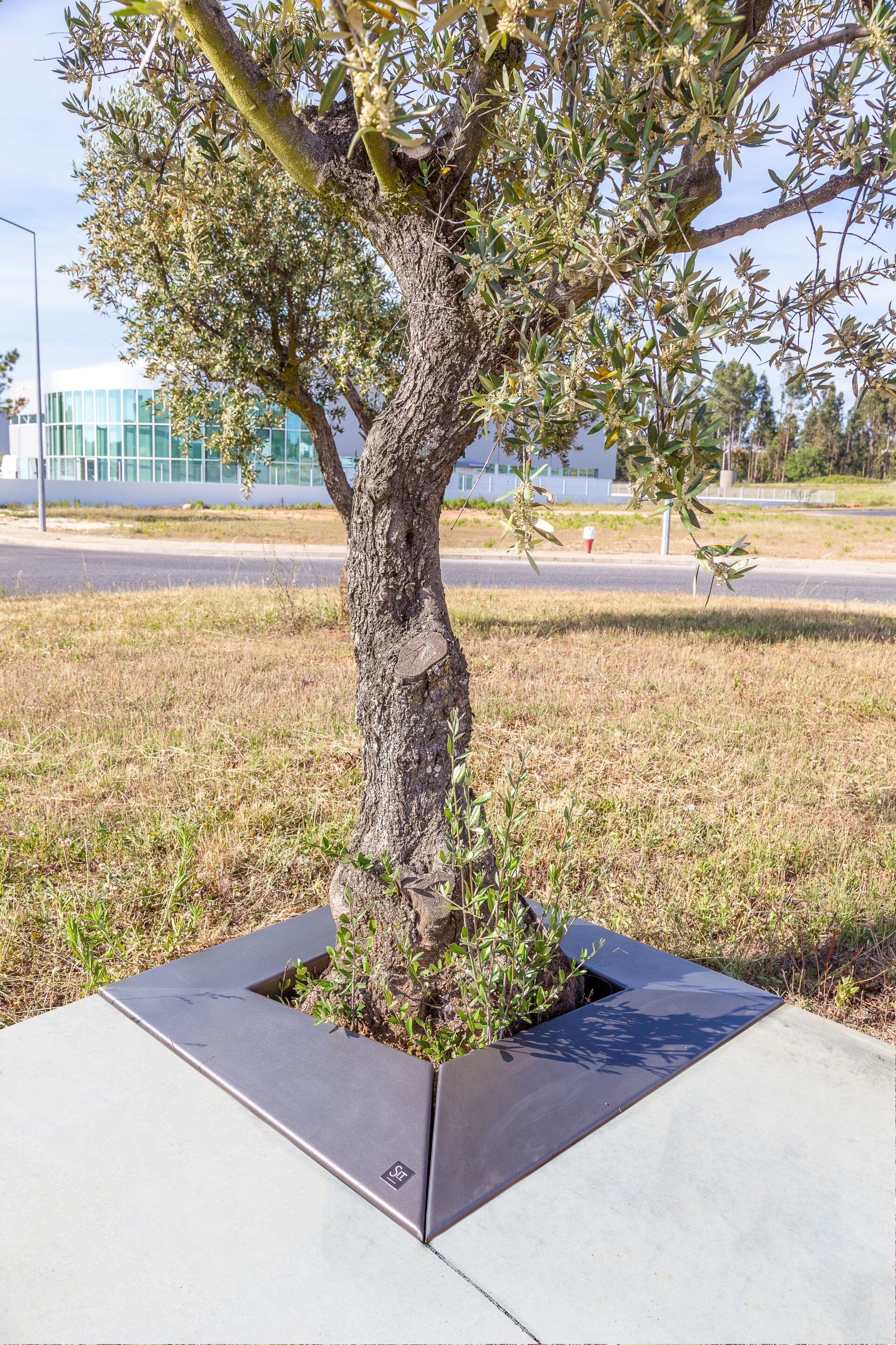 Железная решетка для деревьев SIT Skew ARCH-00021148 - Вид №1