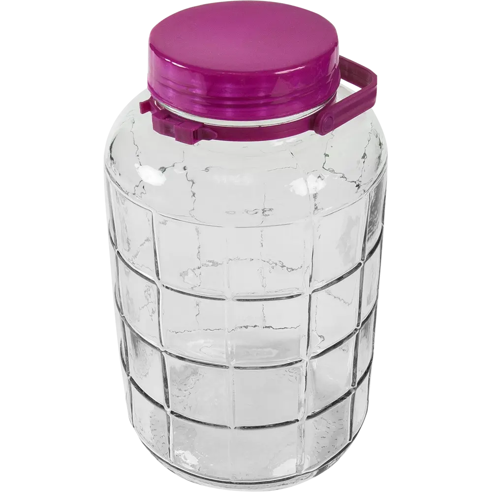 Банка стеклянная с ручкой 8 л Santreyd STLM-2111428