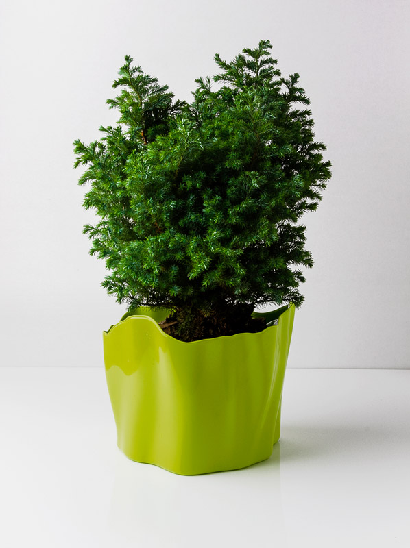 Органайзер Flow средний зеленый Qualy QL10142GN - Вид №1