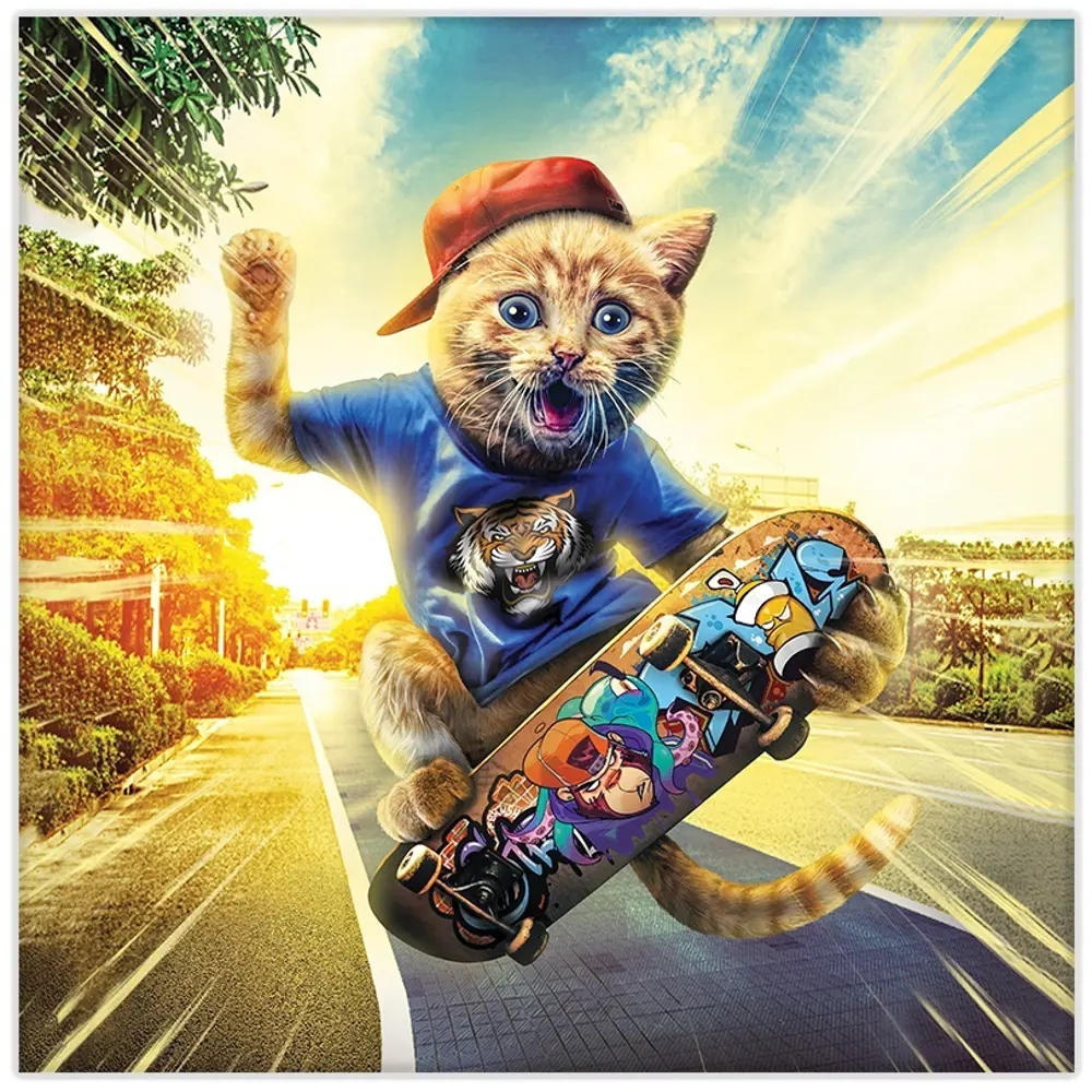 Картина на холсте Кот на скейте 30x30 см FBRUSH STLM-2170859