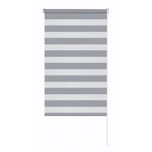 Рулонная штора день-ночь MIAMOZA Петер 50x160 см серая 89411393