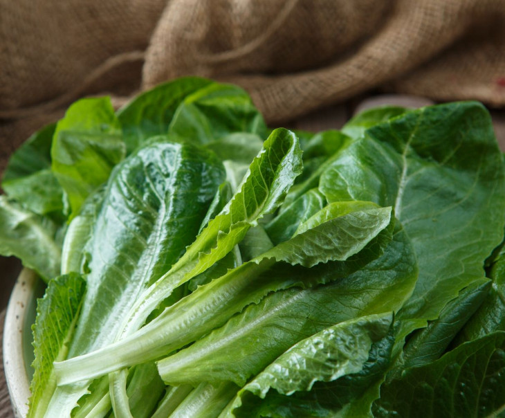 3826 Романо Выращено Рядом (iFarm) Вкусляндия  - Вид №1