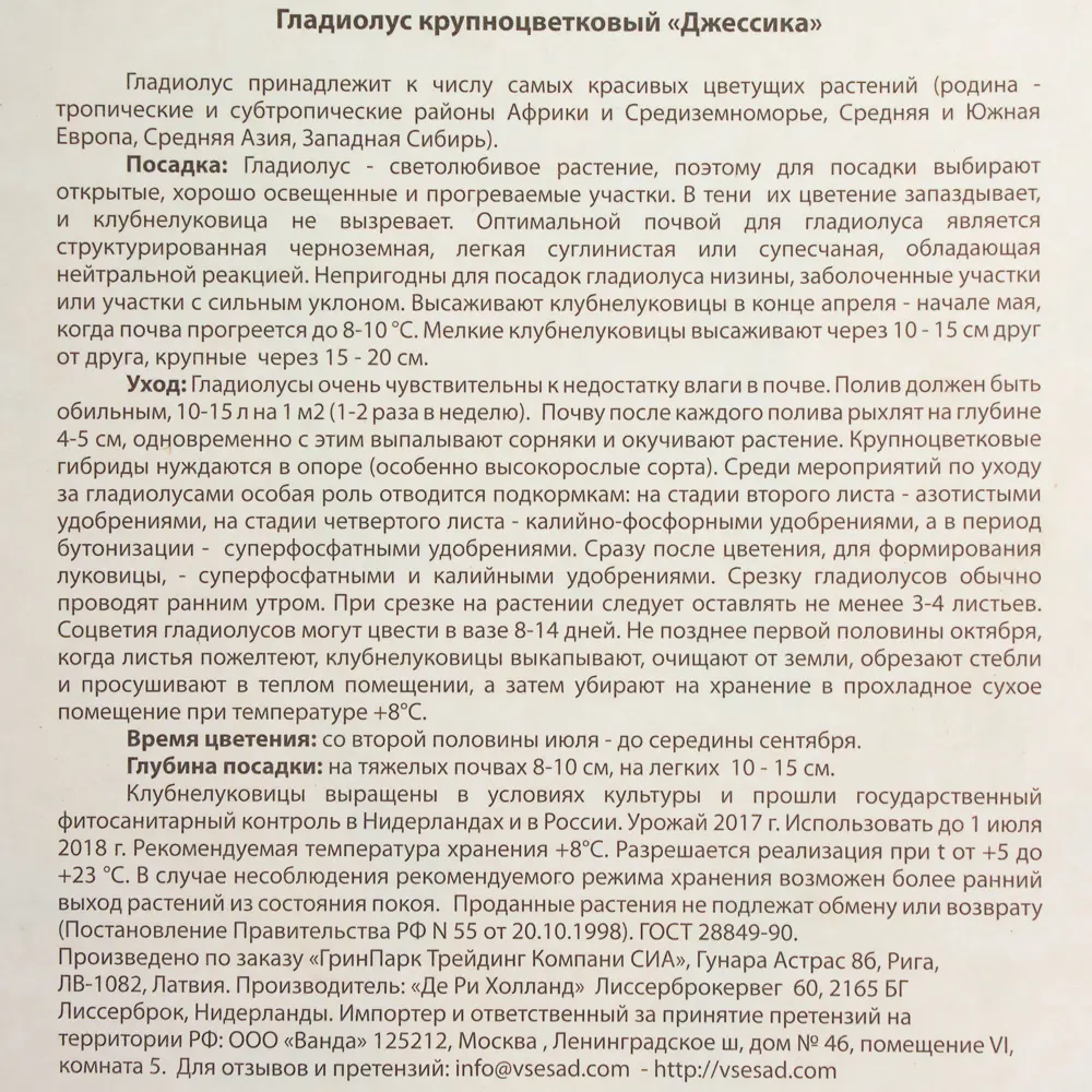 Гладиолус крупноцветковый Джессика 10/12, 7 шт Santreyd STLM-2123890 - Вид №2