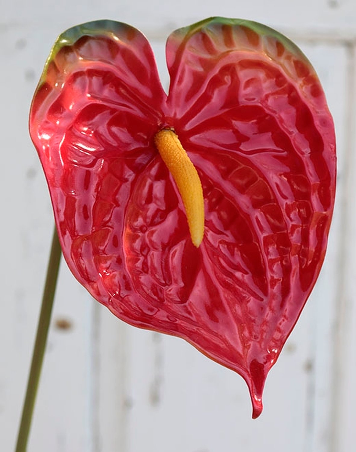 2300 444 a2 Искусственный антуриум, 74см, красный H-andreas 