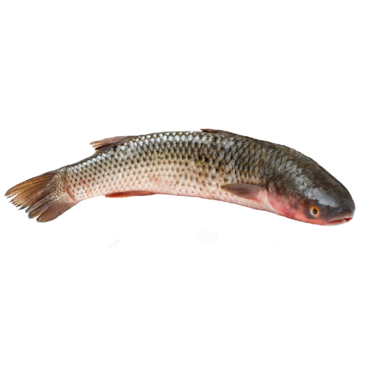 Кефаль охлажденная ~1,5 кг Santreyd 11782 - Вид №1