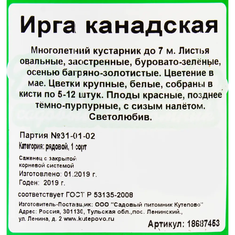 Ирга канадская С2 Н30 2-х летка 18687453 STLM-2069857 Santreyd  - Вид №2