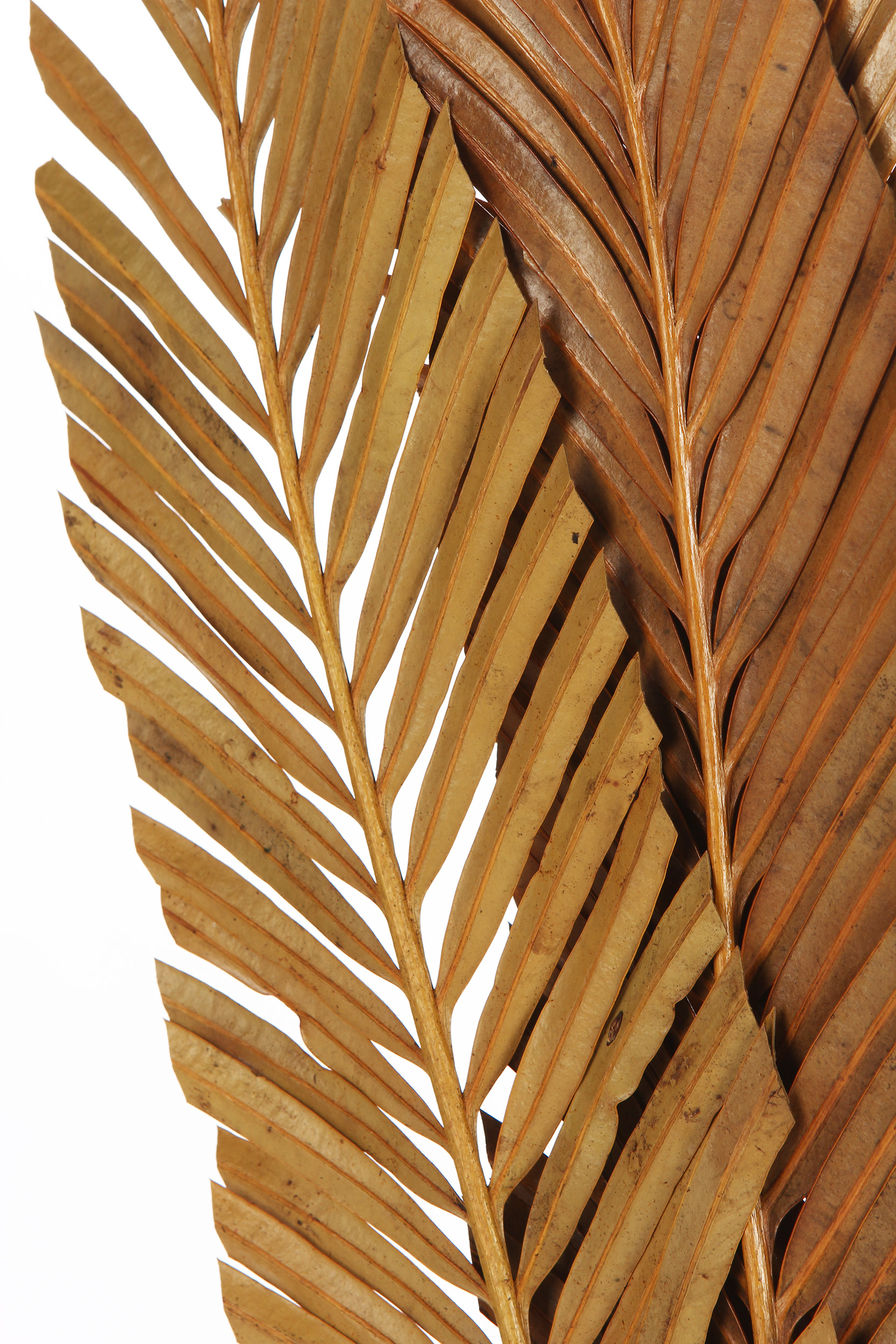 8008215159157 Декор Fiore 8 LA FORMA  - Вид №2