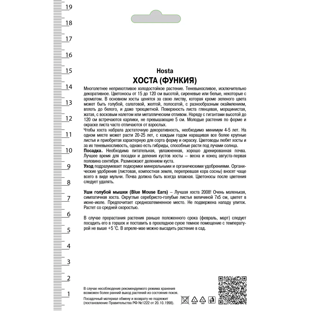 Хоста гибридная «Блу Маус Ирс», 1 шт Santreyd STLM-2174219 - Вид №1