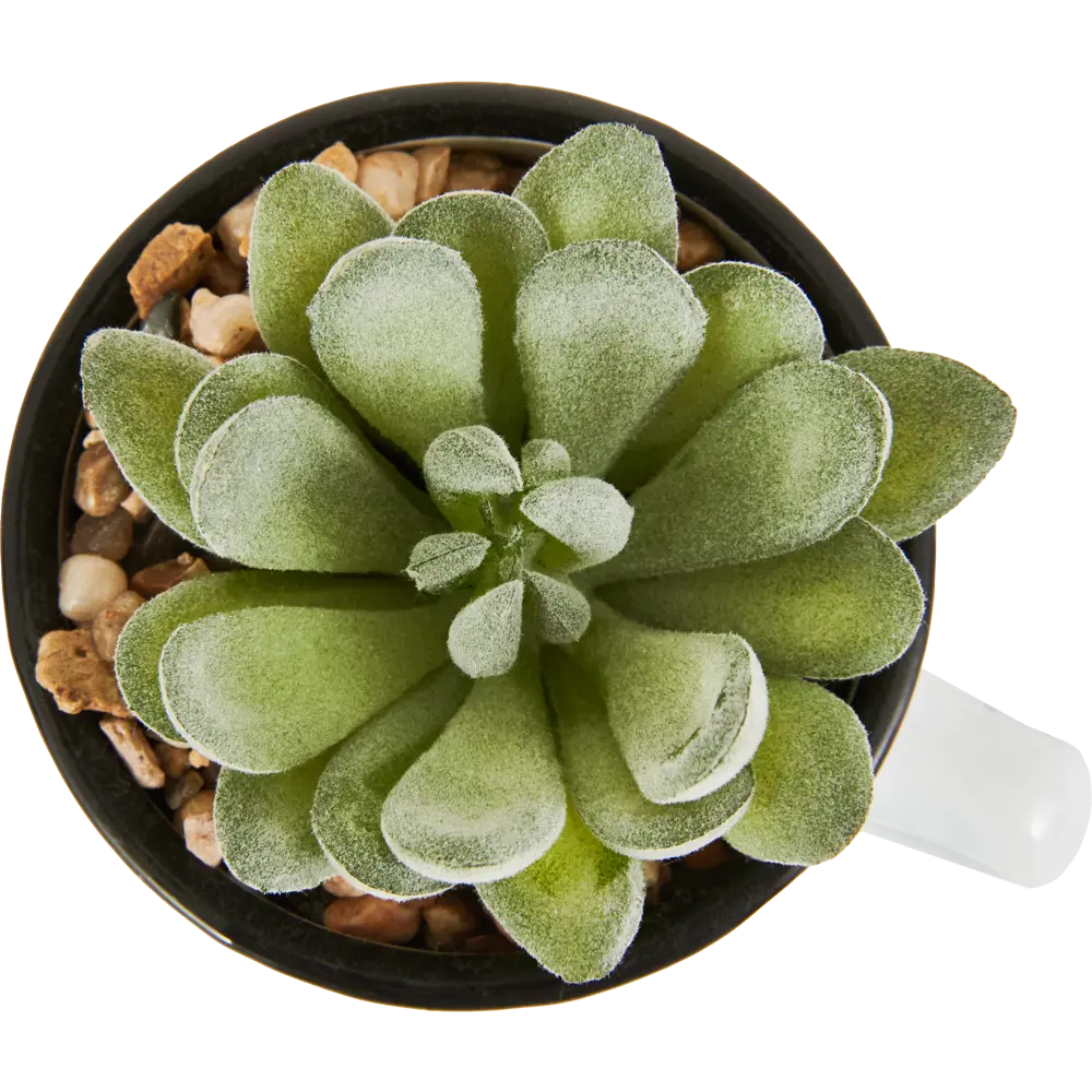 Искусственное растение в металлической чашке 168537 Santreyd STLM-2039453 - Вид №1