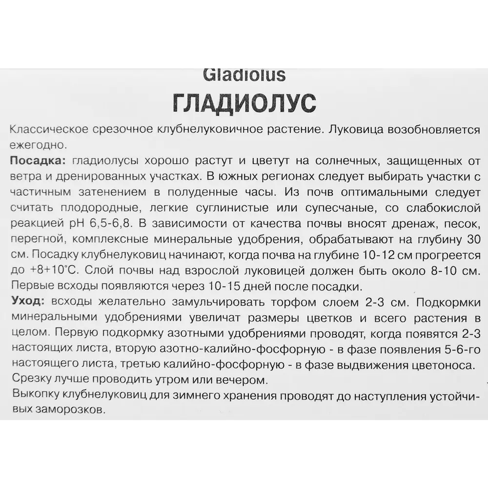 Гладиолус крупноцветковый Пинк Пэррот, 5 шт. 89351806 STLM-2033799 ПОИСК  - Вид №2