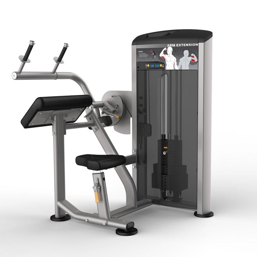 IE9523 Aerofit impulse elite ie9523 трицепс / разгибание рук AeroFIT Impulse Elite 